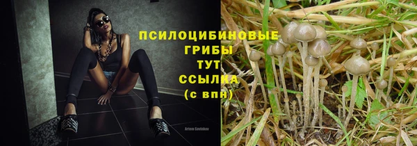 дмт Алексеевка