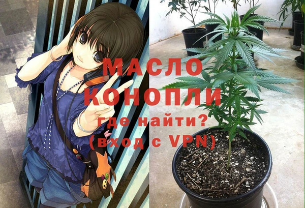 молекула духа Михайлов
